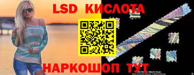 крисы Моздок
