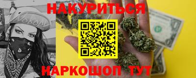 крисы Моздок