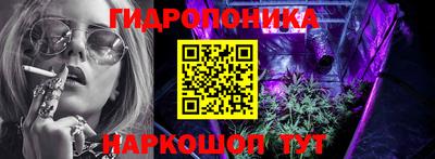 крисы Моздок
