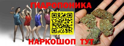 крисы Моздок