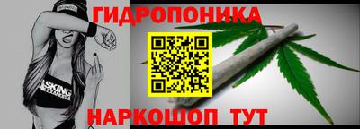 крисы Моздок