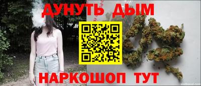 крисы Моздок