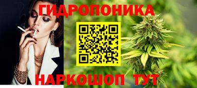 крисы Моздок