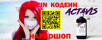 крисы Моздок