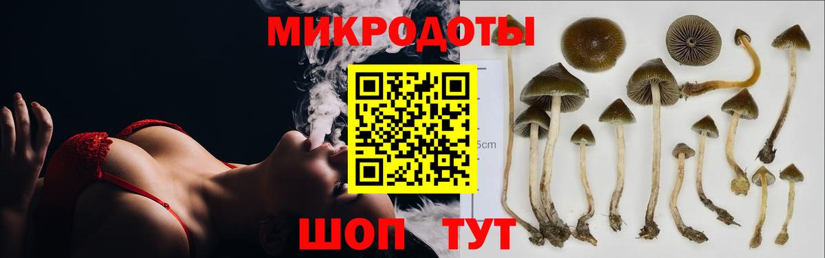 Барабинск  Псилоцибиновые грибы ЛСД  Вход с VPN 